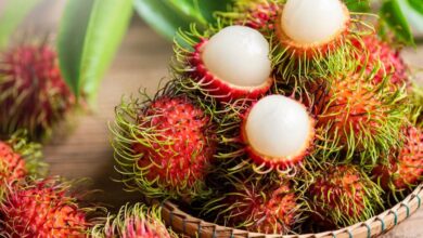 11 Manfaat Buah Rambutan untuk Kesehatan yang Mungkin Belum Anda Ketahui