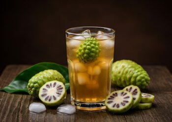 4 Cara Mengolah Mengkudu Menjadi Minuman Sehat Menyegarkan Rasa Pahit Jadi Manfaat