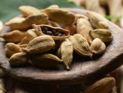 5 Cara Mengonsumsi Kapulaga untuk Mendapatkan Segudang Manfaat Kesehatan