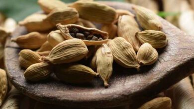 5 Cara Mengonsumsi Kapulaga untuk Mendapatkan Segudang Manfaat Kesehatan