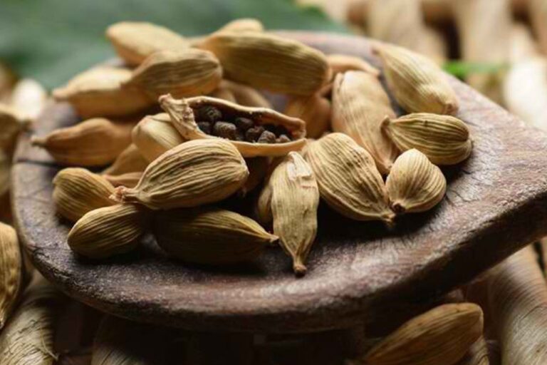 5 Cara Mengonsumsi Kapulaga untuk Mendapatkan Segudang Manfaat Kesehatan