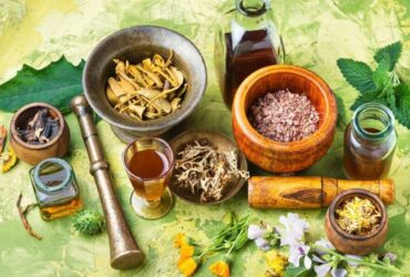 5 Metode Mengolah Tanaman Herbal yang Sering Salah Cara Nomor 2 Paling Sering Terjadi
