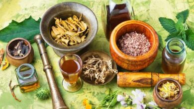 5 Metode Mengolah Tanaman Herbal yang Sering Salah Cara Nomor 2 Paling Sering Terjadi