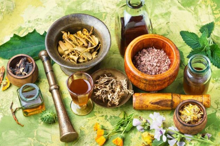 5 Metode Mengolah Tanaman Herbal yang Sering Salah Cara Nomor 2 Paling Sering Terjadi