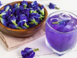 5 Varian Minuman dari Bunga Telang dan Cara Mengolahnya