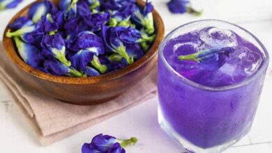 5 Varian Minuman dari Bunga Telang dan Cara Mengolahnya
