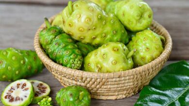 7 Khasiat Buah Mengkudu Buah yang Terlupakan dengan Segudang Manfaat Kesehatan