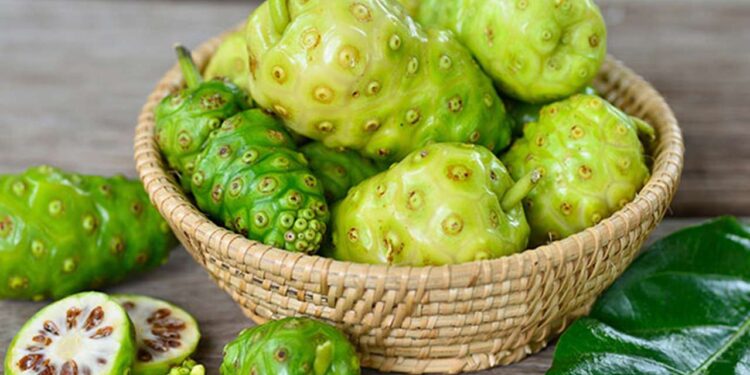 7 Khasiat Buah Mengkudu Buah yang Terlupakan dengan Segudang Manfaat Kesehatan