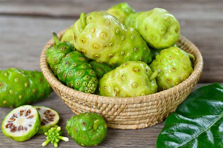 7 Khasiat Buah Mengkudu Buah yang Terlupakan dengan Segudang Manfaat Kesehatan