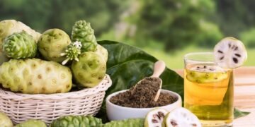 7 Kreasi Kuliner dari Buah Mengkudu Mulai dari Teh Selai Hingga Keripik Mengkudu