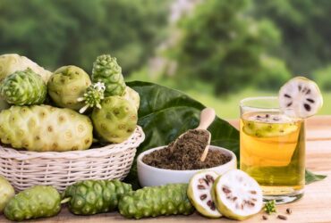 7 Kreasi Kuliner dari Buah Mengkudu Mulai dari Teh Selai Hingga Keripik Mengkudu