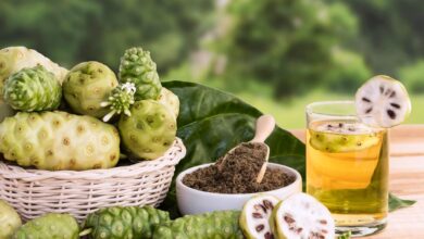 7 Kreasi Kuliner dari Buah Mengkudu Mulai dari Teh Selai Hingga Keripik Mengkudu