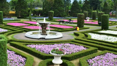 Rekomendasi Destinasi Hits Tapi Sepi Pengunjung, 5 Hidden Gem di Jawa Barat yang Instagrammable