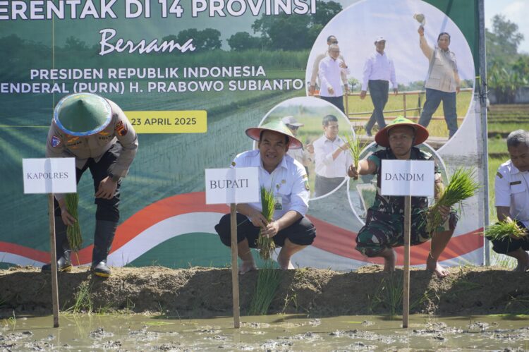 Blora Siap Menjadi Lumbung Pangan Nasional
