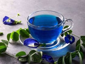 Cara Merebus Bunga Telang untuk Membuat Minuman Kesehatan Maupun Kecantikan