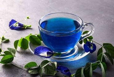 Cara Merebus Bunga Telang untuk Membuat Minuman Kesehatan Maupun Kecantikan