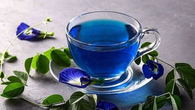 Cara Merebus Bunga Telang untuk Membuat Minuman Kesehatan Maupun Kecantikan