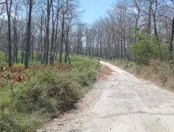 DPRD Blora Minta Pendataan Menyeluruh Ruas Jalan Hutan