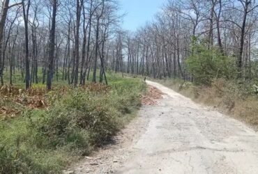 DPRD Blora Minta Pendataan Menyeluruh Ruas Jalan Hutan