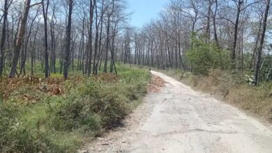 DPRD Blora Minta Pendataan Menyeluruh Ruas Jalan Hutan