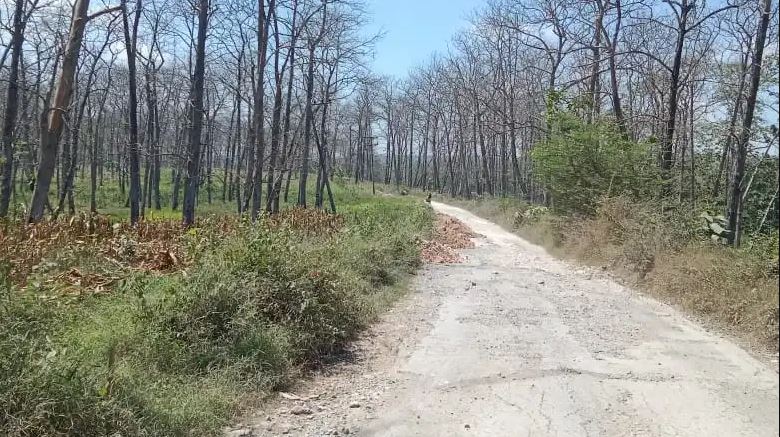 DPRD Blora Minta Pendataan Menyeluruh Ruas Jalan Hutan