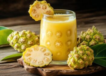 Jus Mengkudu Murni Minuman Herbal dengan Banyak Manfaat Kesehatan Ini Resep dan Cara Mengolahnya
