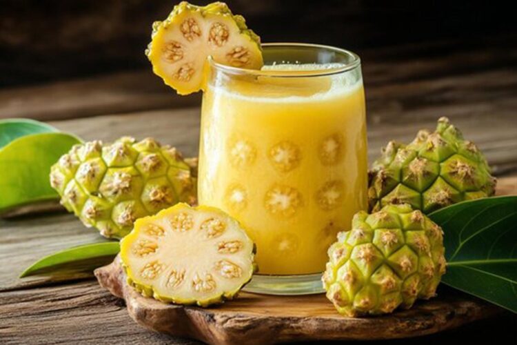 Jus Mengkudu Murni Minuman Herbal dengan Banyak Manfaat Kesehatan Ini Resep dan Cara Mengolahnya
