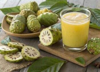 Rasa dan Baunya Eneg Begini Tips Mengonsumsi Buah Mengkudu yang Aman dan Ideal