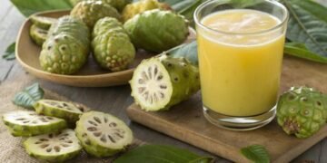 Rasa dan Baunya Eneg Begini Tips Mengonsumsi Buah Mengkudu yang Aman dan Ideal