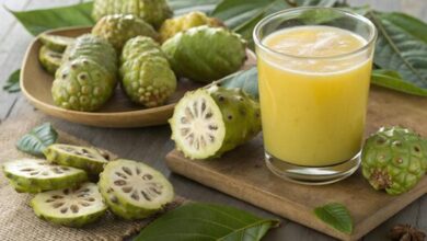 Rasa dan Baunya Eneg Begini Tips Mengonsumsi Buah Mengkudu yang Aman dan Ideal