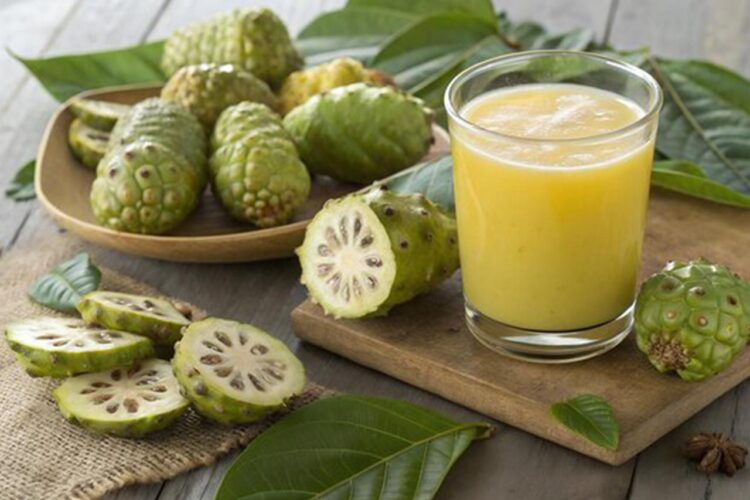 Rasa dan Baunya Eneg Begini Tips Mengonsumsi Buah Mengkudu yang Aman dan Ideal