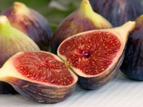 Tips Mengonsumsi Buah Tin untuk Mendapatkan Manfaat Optimal Jumlah dan Waktu yang Ideal
