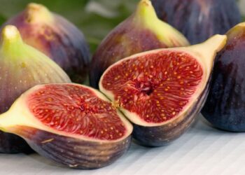 Tips Mengonsumsi Buah Tin untuk Mendapatkan Manfaat Optimal Jumlah dan Waktu yang Ideal