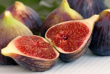 Tips Mengonsumsi Buah Tin untuk Mendapatkan Manfaat Optimal Jumlah dan Waktu yang Ideal