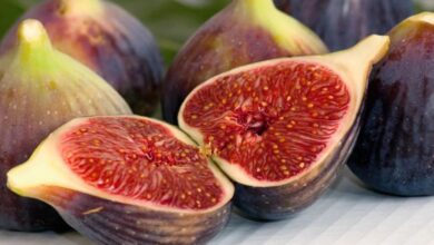 Tips Mengonsumsi Buah Tin untuk Mendapatkan Manfaat Optimal Jumlah dan Waktu yang Ideal