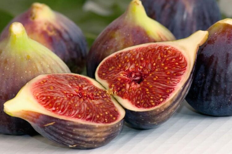 Tips Mengonsumsi Buah Tin untuk Mendapatkan Manfaat Optimal Jumlah dan Waktu yang Ideal