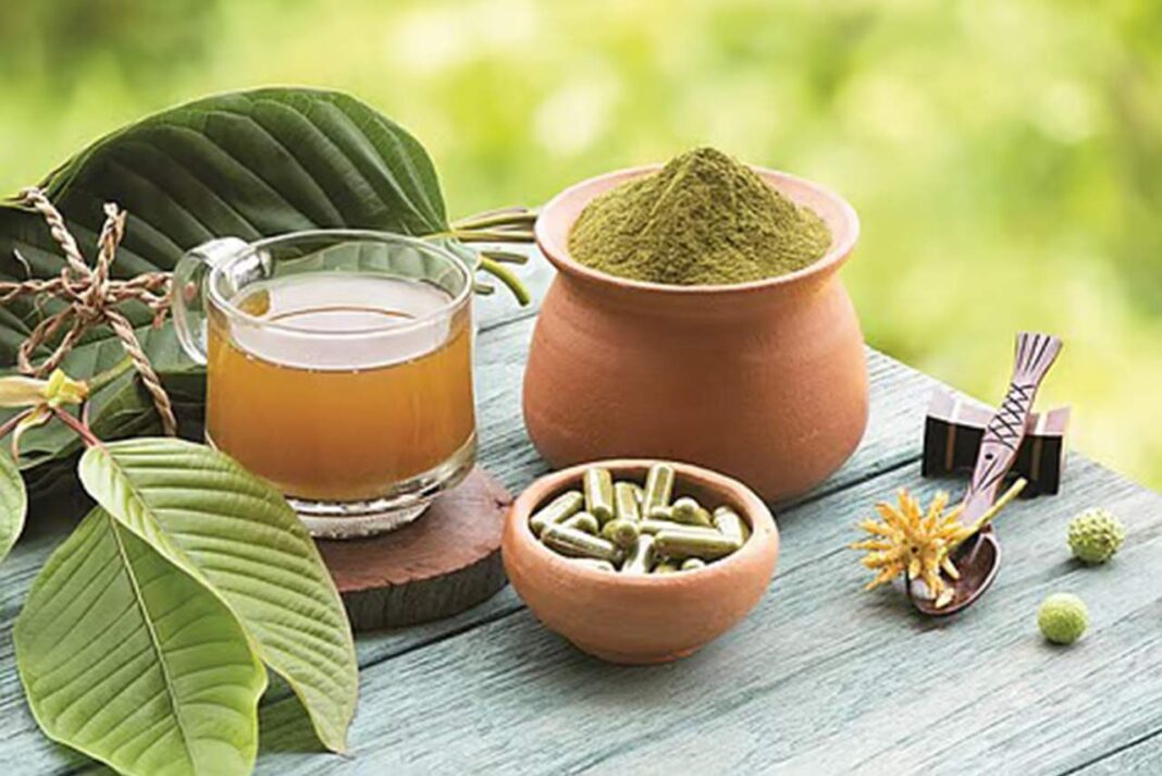 4 Olahan Daun Kratom yang Paling Populer di Pasar Global Dari Serbuk Hingga Teh Herbal