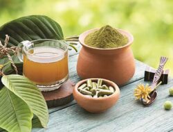 4 Olahan Daun Kratom yang Paling Populer di Pasar Global Dari Serbuk Hingga Teh Herbal