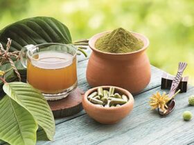 4 Olahan Daun Kratom yang Paling Populer di Pasar Global Dari Serbuk Hingga Teh Herbal
