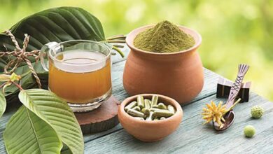 4 Olahan Daun Kratom yang Paling Populer di Pasar Global Dari Serbuk Hingga Teh Herbal