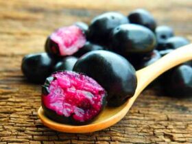 5 Inspirasi Minuman dari Buah Duwet Buah Ungu dengan Segudang Manfaat Kesehatan