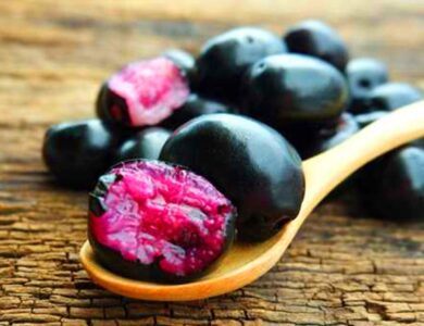 5 Inspirasi Minuman dari Buah Duwet Buah Ungu dengan Segudang Manfaat Kesehatan