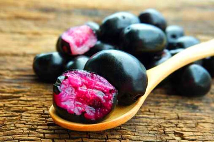 5 Inspirasi Minuman dari Buah Duwet Buah Ungu dengan Segudang Manfaat Kesehatan