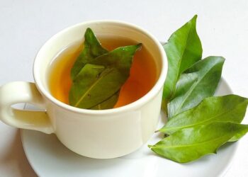 6 Benefit Kesehatan Air Rebusan Daun Salam yang Sayang untuk Dilewatkan