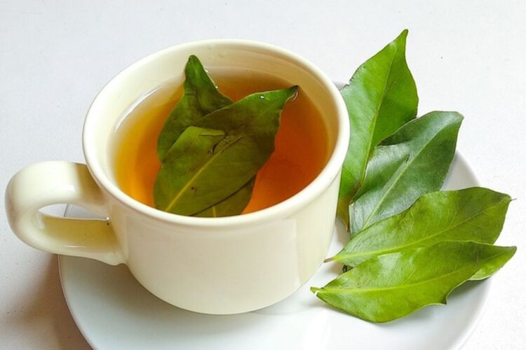 6 Benefit Kesehatan Air Rebusan Daun Salam yang Sayang untuk Dilewatkan