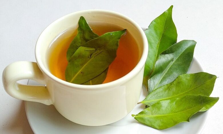 6 Benefit Kesehatan Air Rebusan Daun Salam yang Sayang untuk Dilewatkan