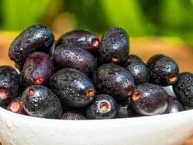 6 Khasiat Buah Duwet Untuk Kesehatan Harta Karun Tersembunyi dari Alam yang Nyaris Punah