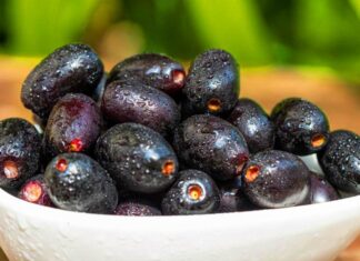 6 Khasiat Buah Duwet Untuk Kesehatan Harta Karun Tersembunyi dari Alam yang Nyaris Punah