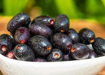 6 Khasiat Buah Duwet Untuk Kesehatan Harta Karun Tersembunyi dari Alam yang Nyaris Punah