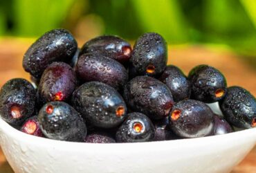 6 Khasiat Buah Duwet Untuk Kesehatan Harta Karun Tersembunyi dari Alam yang Nyaris Punah